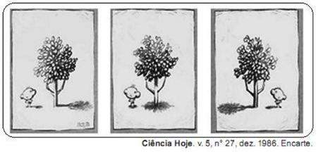 Imagem_124.png