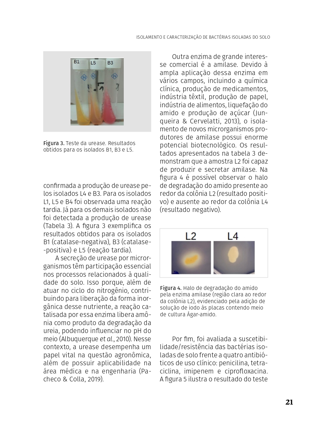 O_SABER_2022_Artigo_1_page-0011.jpg