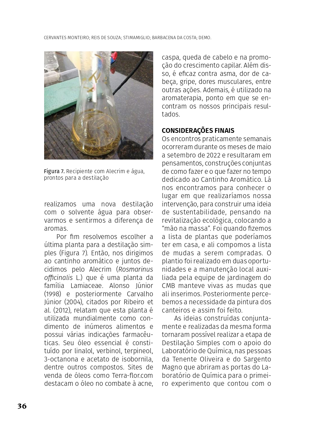 O_SABER_2022_Artigo_2_page-0010.jpg