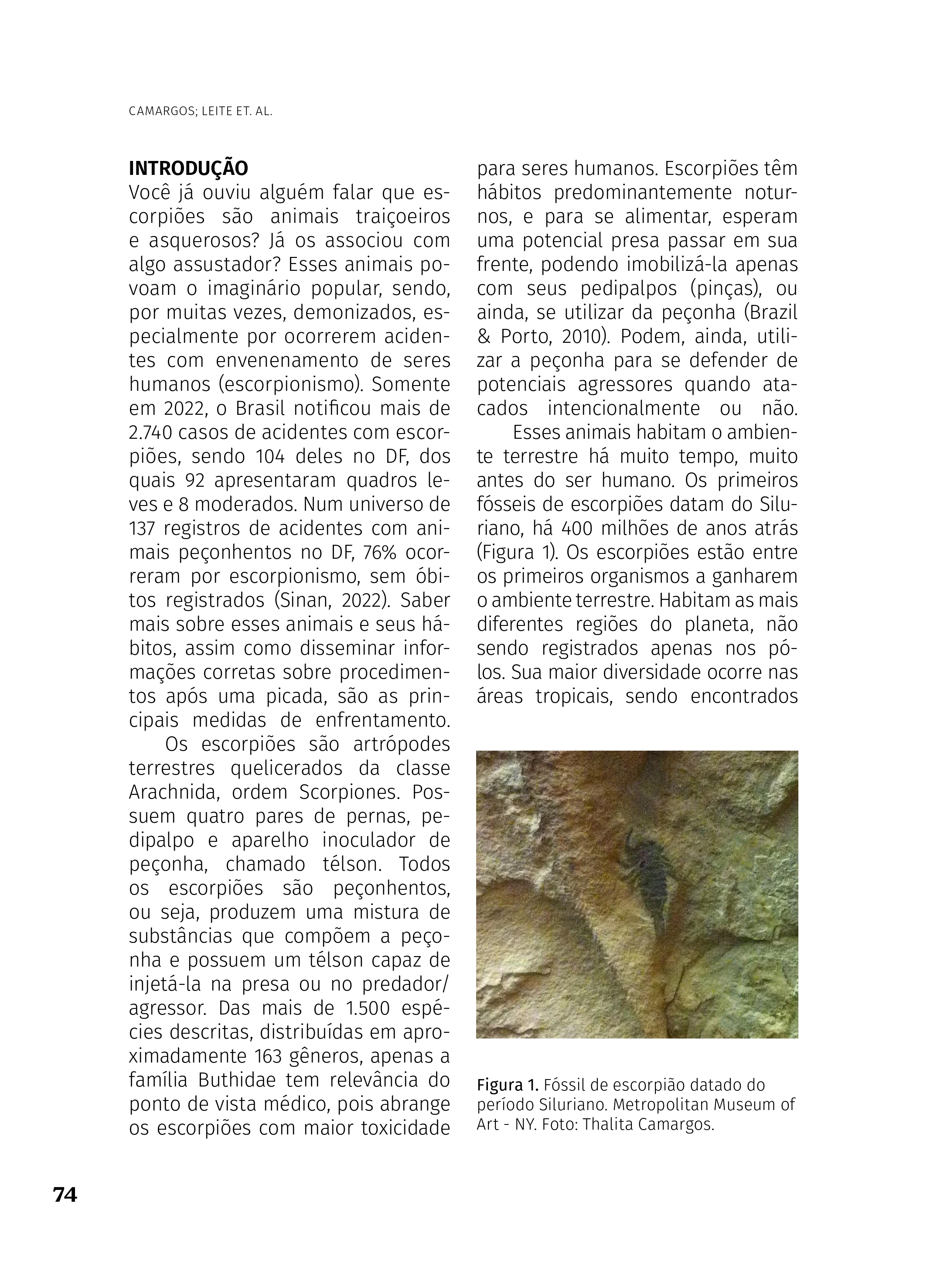 O_SABER_2022_Artigo_6_page-0003.jpg