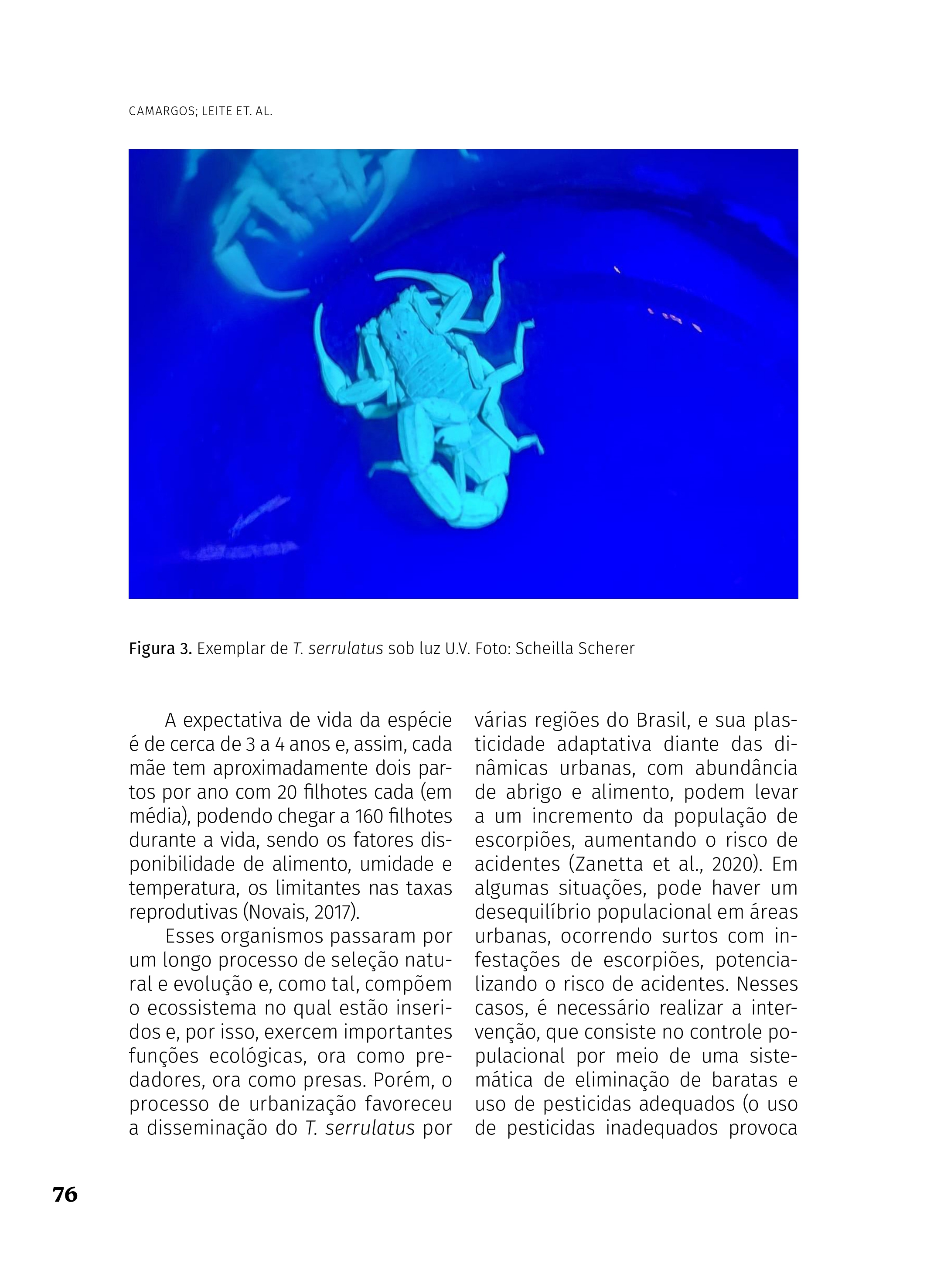 O_SABER_2022_Artigo_6_page-0005.jpg